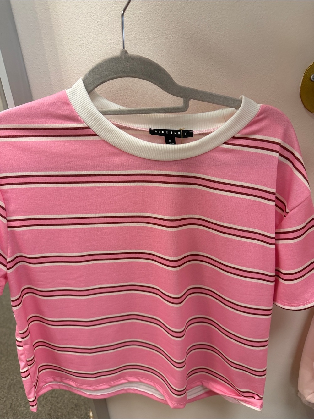 Blue Blush Pink Striped Short Sleeve Tee with White Trim